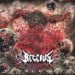 BECERUS - Troglodyte