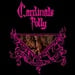 CARDNIALS FOLLY - Strange Conflicts Of The Past