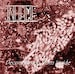 INHUME - Decomposing From Inside