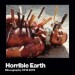 HORRIBLE EARTH - Discography 2013-2019