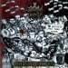 DIARREHA CRONICA - Contagious Corruptus