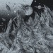 DEVOID OF THOUGHT - Outer World Graves