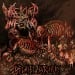 WRETCHED INFERNO - Decayed Butchery