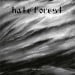 HATE FOREST - Innermost