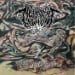 MVLTIFISSION - Decomposition In The Painful Metamorphosis