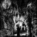 SILVANTHRONE - Forbidden Pathways To Ancient Wisdom