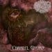 THAUMATURGY - Charnel Gnosis