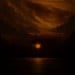 THY DARKENED SHADE / AMESTIGON / INCONCESSUS LUX LUCIS - Samaelilith: A Conjunction Of The Fireborn