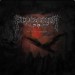 PROCESSION - The Cult Of Disease