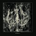 DEVOURING STAR - Antihedron