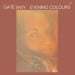 LAURENCE VANAY - Evening Colours