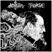 YACOPSAE / IRATE ARCHITECT - Split