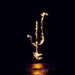 DEMON HEAD - Hellfire Ocean Void
