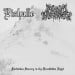 EISHALLE / ANCIENT NECROMANCY - Forbidden Sorcery In The Frostbitten Night