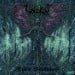 VALDRIN - Apex Violator