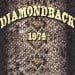 DIAMONDBACK - 1974