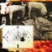 SSRI - Swollen By Noise