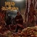STAGES OF DECOMPOSITION - Piles Of Rotting Flesh