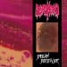 DEAD HEAD - Dream Deceiver