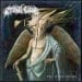 TRIBAL GAZE - The Nine Choirs