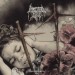 IMMORTAL BIRD - Sin Querencia