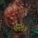 BRAIN STEM - Nullified