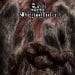 DEAD CONGREGATION - Graves Of The Archangels