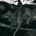DEATHSPELL OMEGA - Infernal Battles
