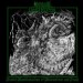 OXYGEN DESTROYER - Bestial Manifestations Of Malevolence And Death