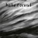 HATE FOREST - Innermost