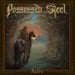 POSSESSED STEEL - Aedris