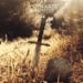 WYTCH HAZEL - Iii: Pentecost