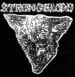 STRONGBLOOD - The Beaten Paths Of Youth