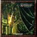 BEWITCHED - Dragonflight
