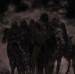 MARDUK - Those Of The Unlight