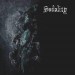 SODALITY - Gothic
