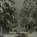 BEWITCHED - Hibernum In Perpetuum