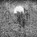 DIABOLICAL FULLMOON - Desecrating..