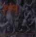 MUVITIUM - Through The Veil Of Medieval Prophecies