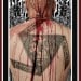 INTOLITARIAN - Radicalized Extremist