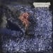 OF FEATHER AND BONE - Sulfuric Disintegration