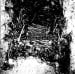 CTENIZIDAE - ...Of Rotting Soil And Spine