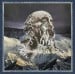 ISSOLEI - Devouring Current Ii: Treacherous Ascent