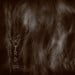 GAAHLS WYRD - Braiding The Stories