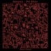 UNBEGOTTEN / VELO MISERE - Silencio Y Demencia