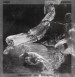 STRIX / INVERNO - Obscurent Nos Tenebrae