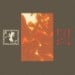 TRHA / ACHEULEAN FORESTS - Die Macht Der Feenflamme