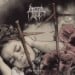 IMMORTAL BIRD - Sin Querencia