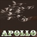 APOLLO - Apollo