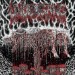 DEAD / UNDERGANG - Split